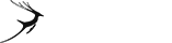 【微软商店】正版的cc网页端